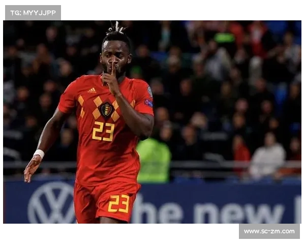 从比利时到非洲根源探秘巴舒亚伊多语言成长与文化之旅